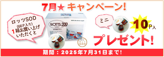 キャンペーン